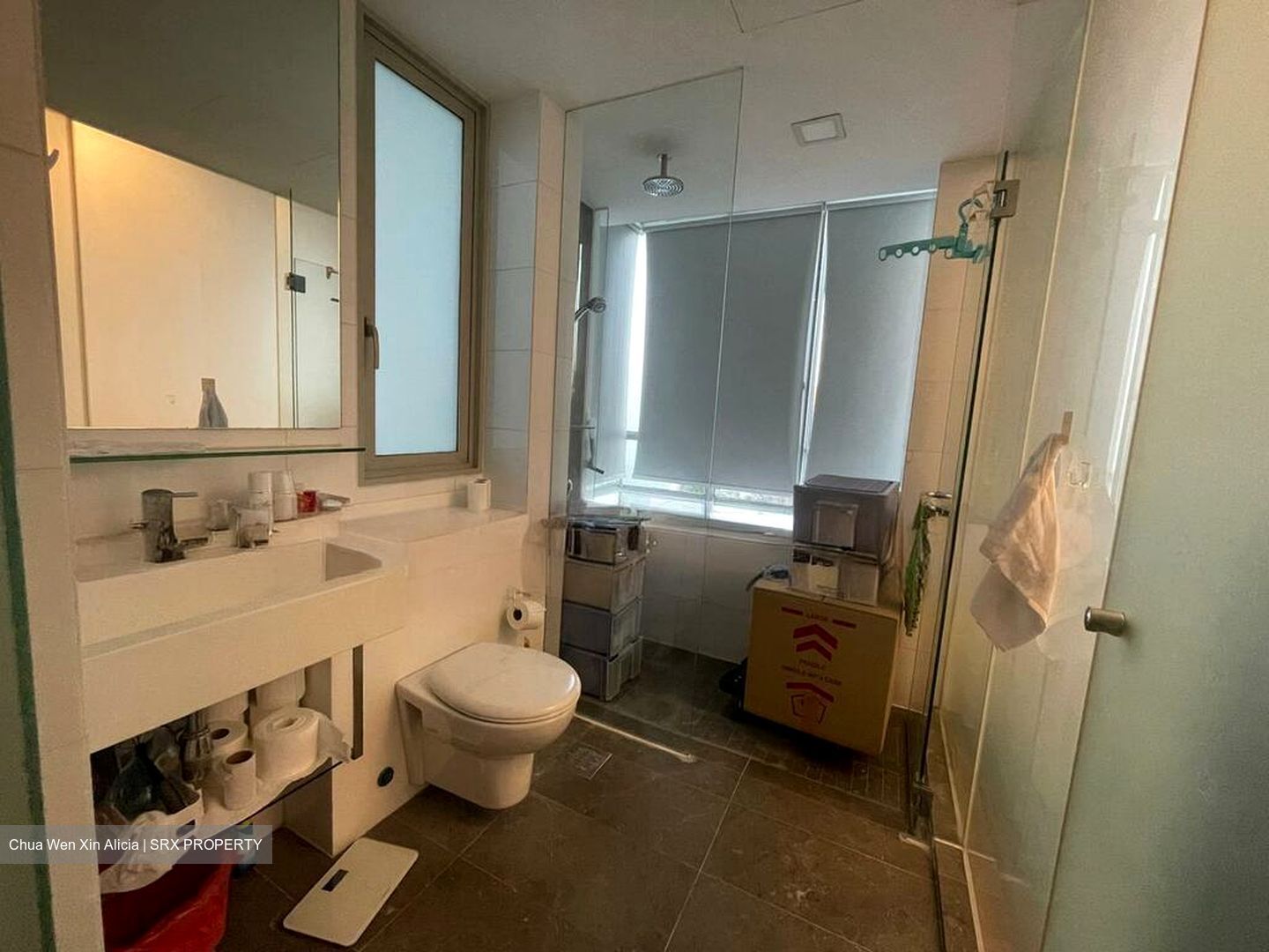 One Amber (D15), Condominium #502897841